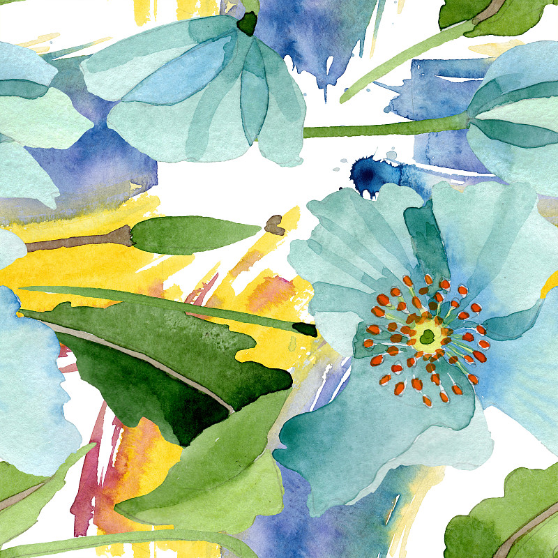 蓝色的罂粟花，植物的花。水彩背景插图集。无缝的背景图案。图片下载