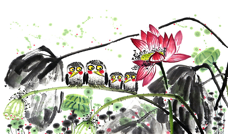 中国画水墨插画动物-荷花池里的四只小鸟下载