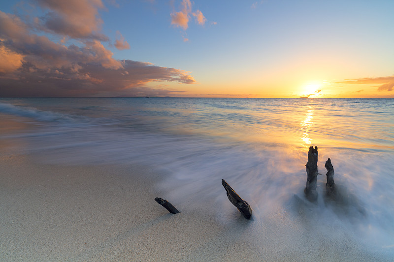 在安提瓜岛的Ffryes海滩上，加勒比海的日落海浪拍打着树干图片下载