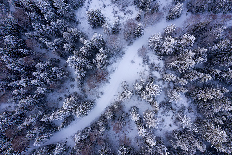 白雪覆盖的森林的航拍图像图片下载