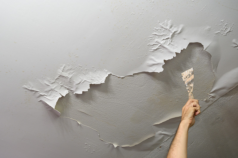 男人的手拿着一把刮刀，指着天花板，天花板上的油漆已经被湿气剥落了。在家做水管工作图片下载