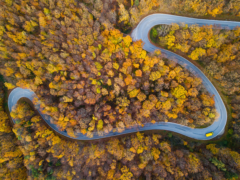 无人机:空中公路旅行-秋天的森林图片素材