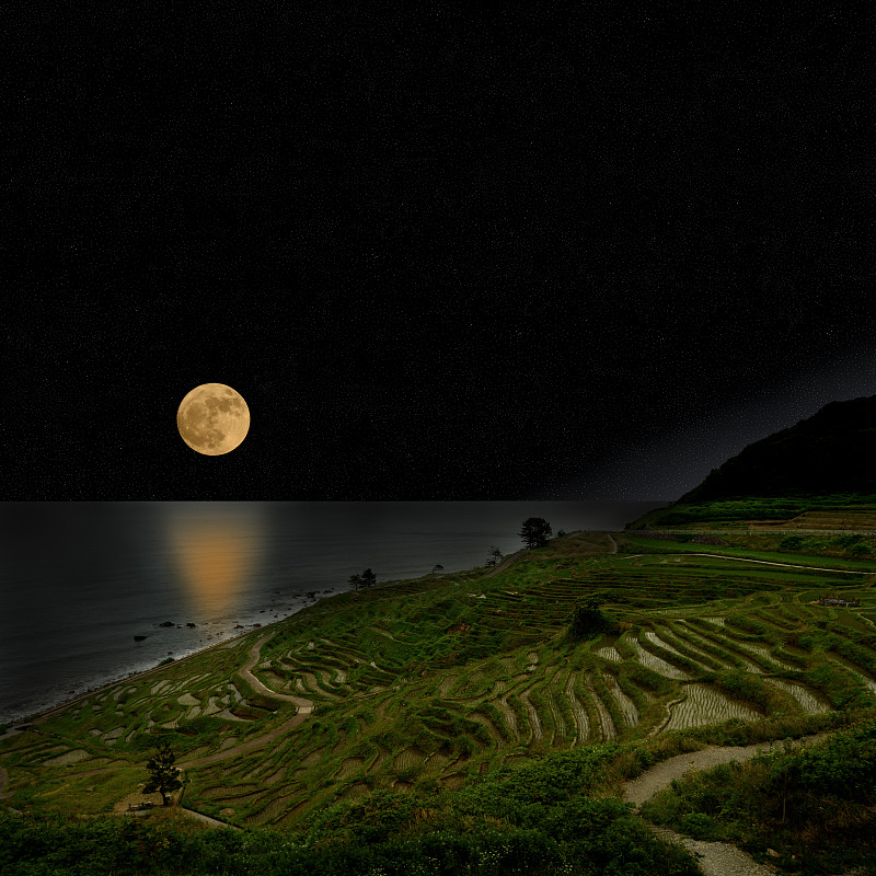 满月从稻田里升起图片下载