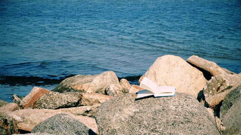 在沙滩上的大岩石上，书页随风飘荡图片下载