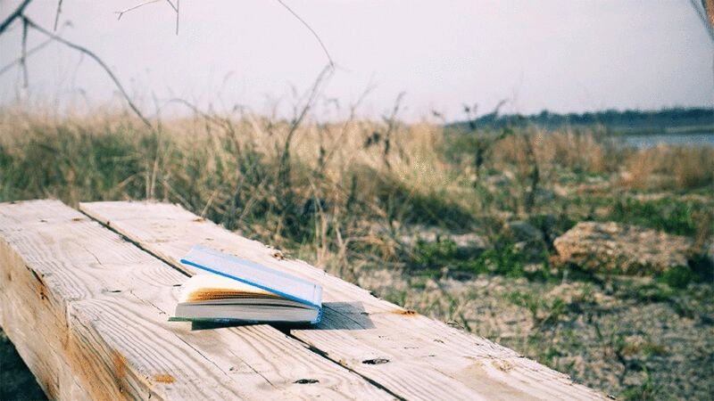 在沙滩上的木凳上，书页在风中飘动图片下载
