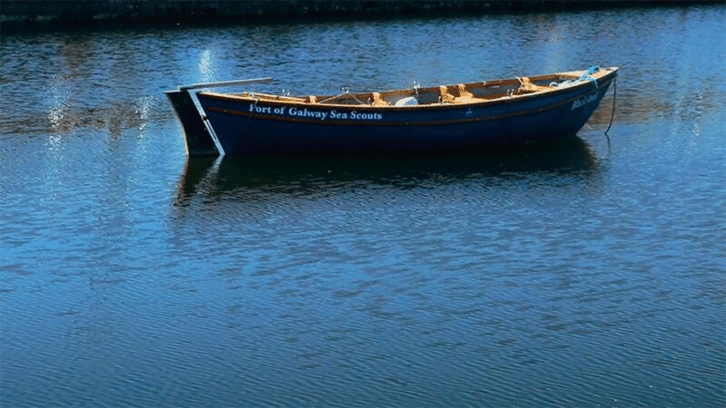 近距离观看划艇在河Corrib，戈尔韦，爱尔兰插画下载