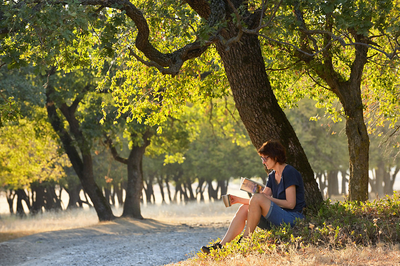 一个女人在森林里看书，希腊，罗马尼亚图片下载
