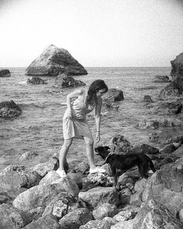 女人与狗在岩石海岸，3D立体效果图片下载