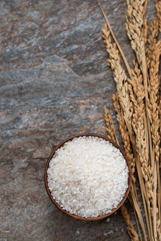 一碗大米和水稻图片素材