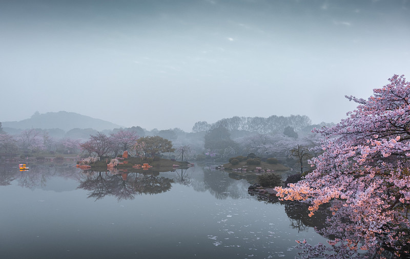 湖北武汉东湖磨山景区樱园景观图片素材