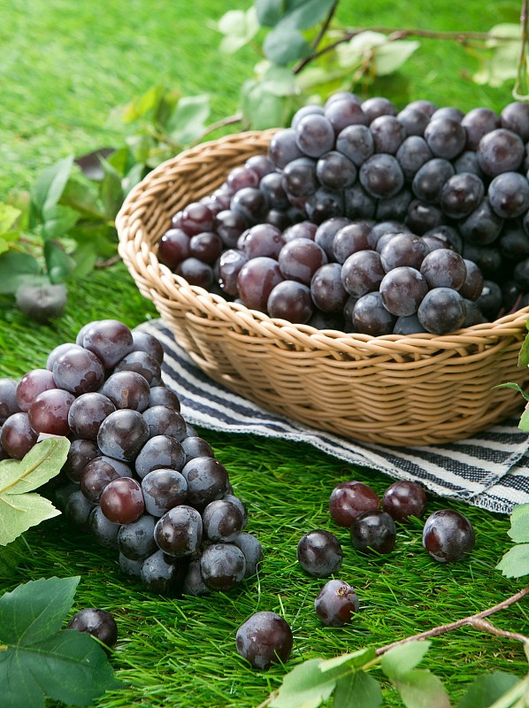 葡萄,水果图片素材