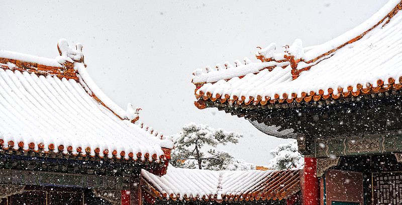 雪中故宫长春宫屋顶的飞檐与脊兽图片素材