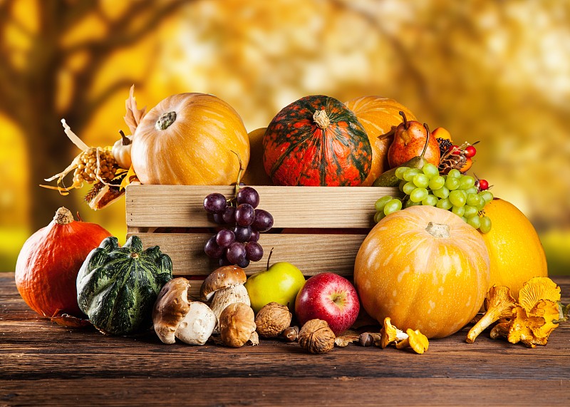 秋天收获南瓜，葡萄，苹果和蘑菇，渥太华，加拿大图片素材
