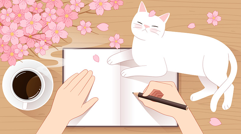 樱花下的白猫和笔记本上写字的手图片素材
