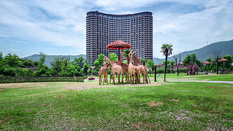 浙江湖州龙之梦野生动物园酒店非洲动物长颈鹿图片素材