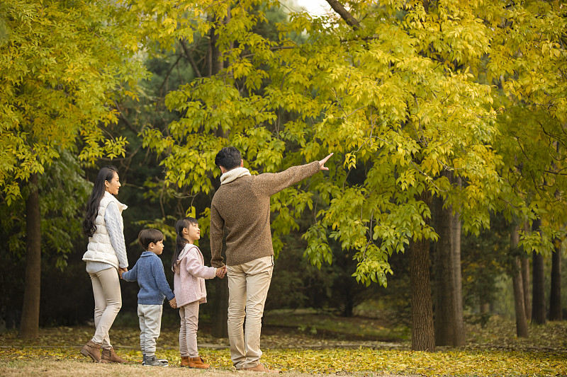 快乐的年轻家庭在树林里共享美好时光图片下载