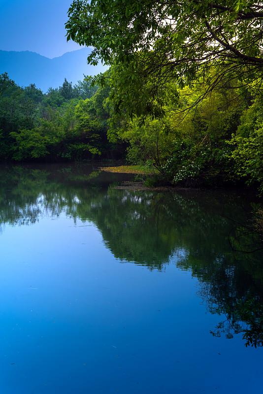 杭州西溪湿地公园湖面清晨图片下载