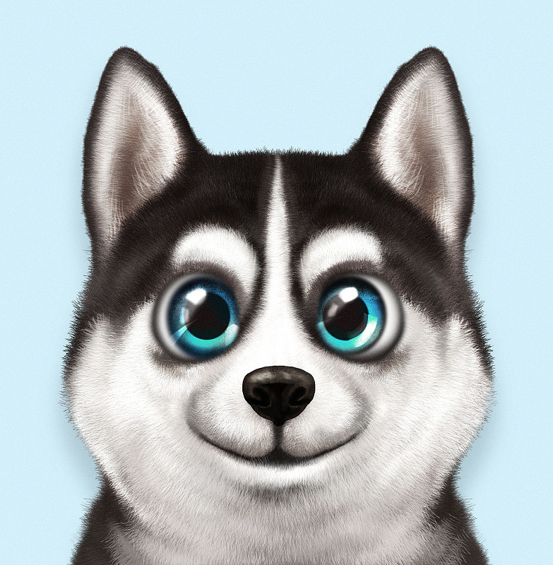 西伯利亚哈士奇狗的肖像图片下载