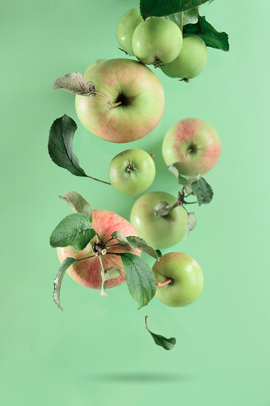 绿色背景下的绿色苹果的特写图片素材