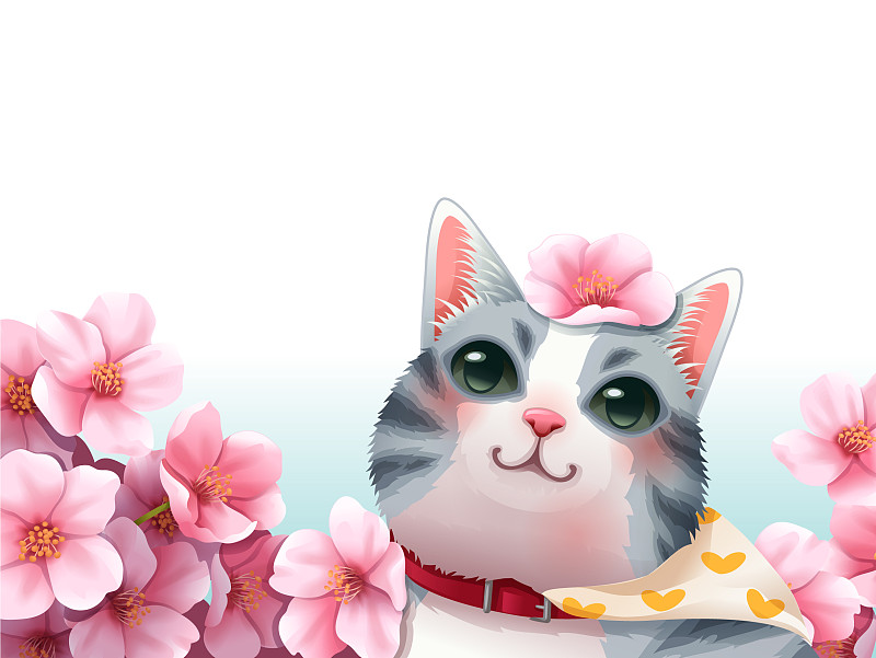 猫樱花图片素材