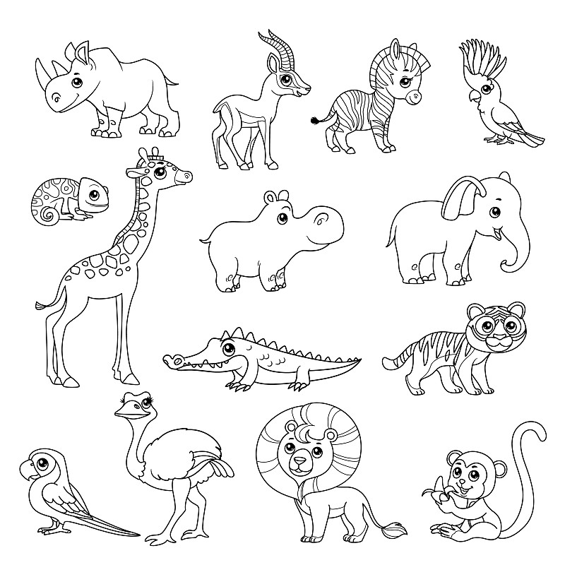 非洲的动物 简笔画图片