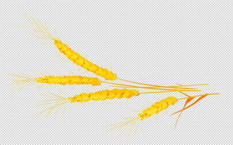 农业插画元素玉米小麦粮食丰收图片