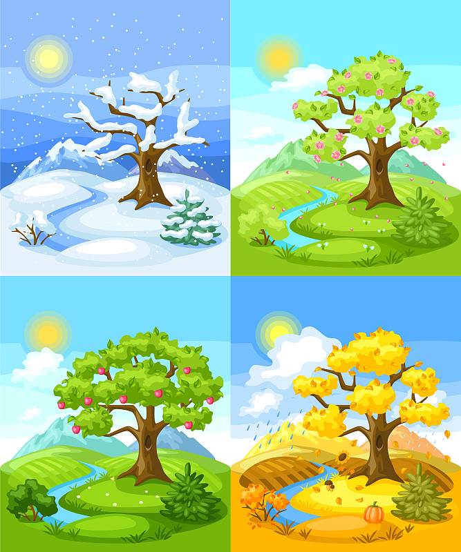 四季树木景观