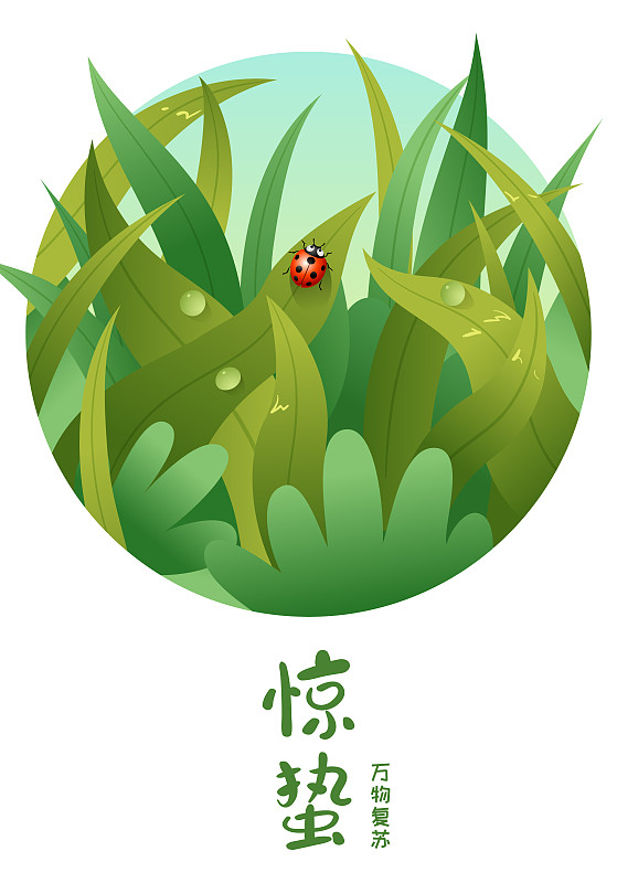 草丛中的一只瓢虫和惊蛰字体图片下载