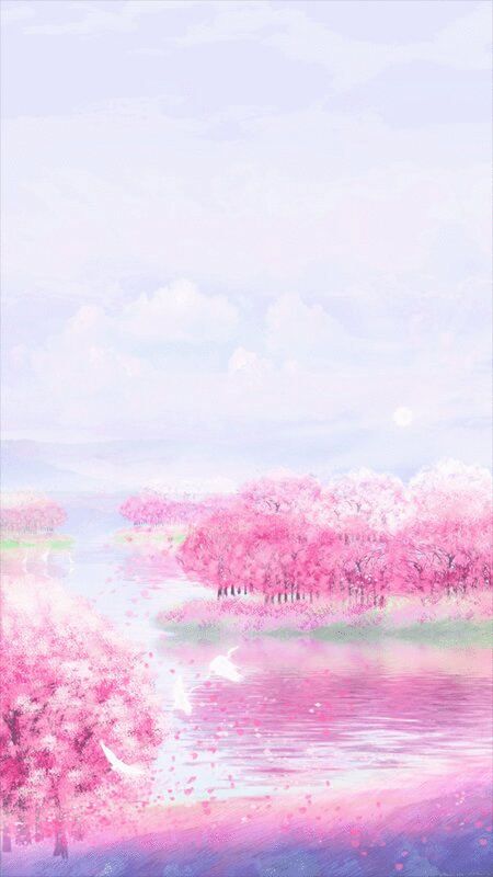 春天早晨樱花园的樱花盛开插画背景图片下载