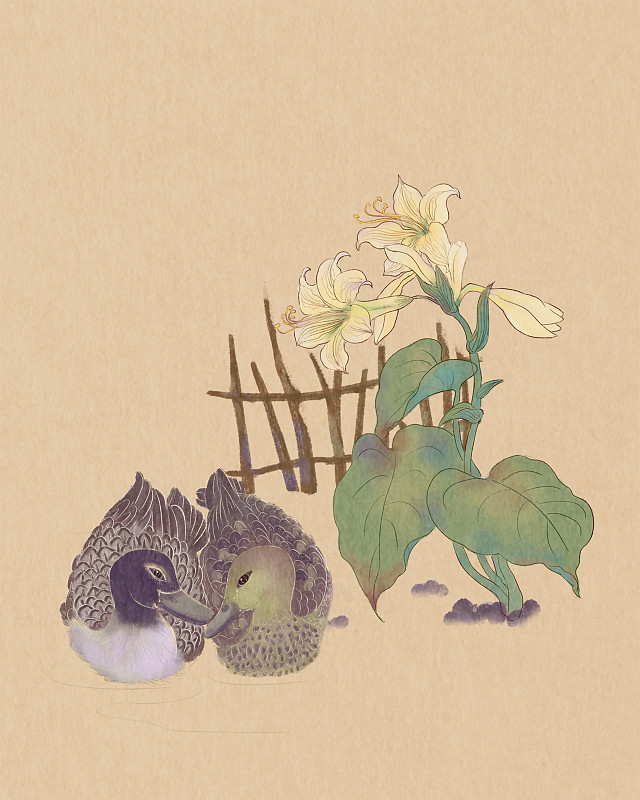 玉簪花和两只鸭子装饰插画图片