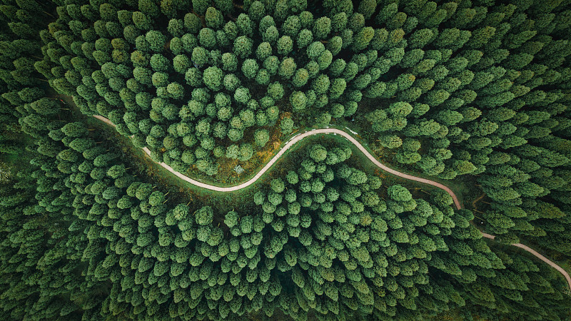 高空俯视森林蜿蜒道路图片下载