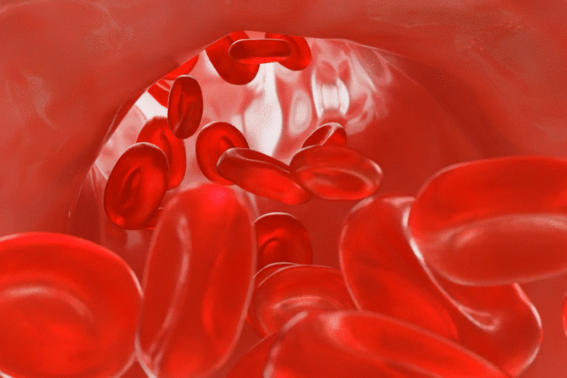 3D渲染的生物医疗人流动的血液血管红细胞动态图片图片下载