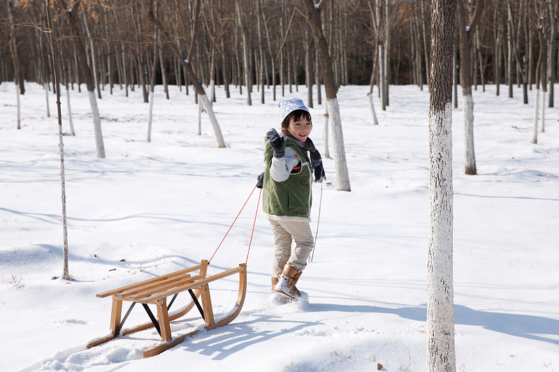 小男孩在雪地上拉着雪橇图片素材