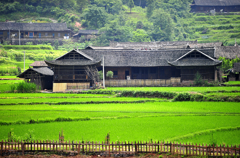 南方稻田间的小村庄