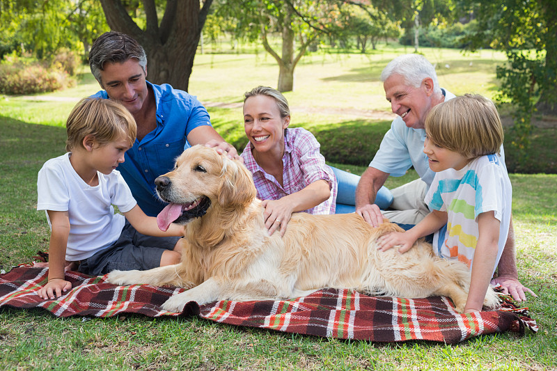 在一个阳光明媚的日子里，快乐的家庭和他们的狗在公园里图片下载