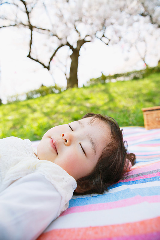 一个日本女孩在樱花下休息图片下载