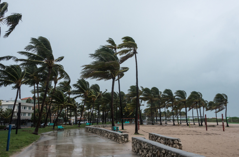 海滩上的风暴图片下载