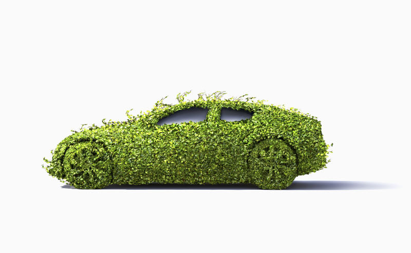 被植物覆盖的汽车图片下载