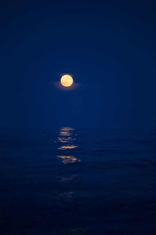 月亮正从北海升起图片素材