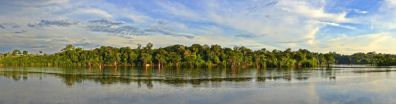 亚马逊河，亚马逊，巴西图片下载