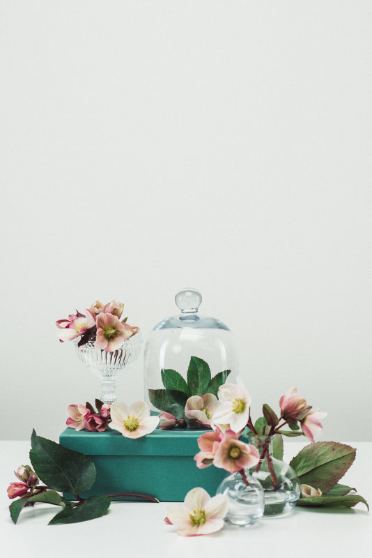 静物插花和花瓶春天玫瑰背景图片下载