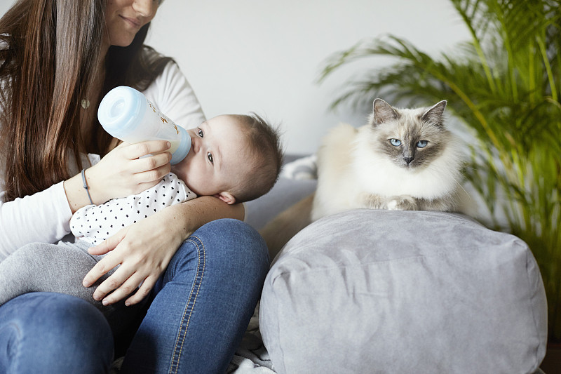 年轻的母亲在沙发上用奶瓶喂婴儿和猫图片下载