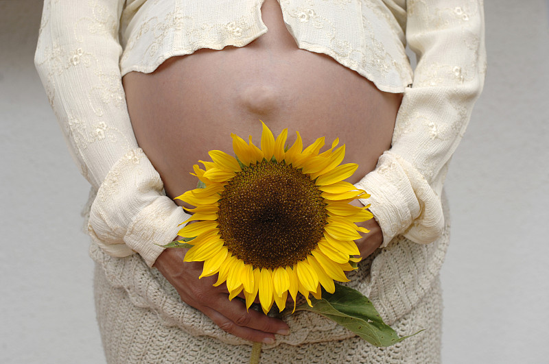 母亲怀着向日葵，腹部腹部图片下载