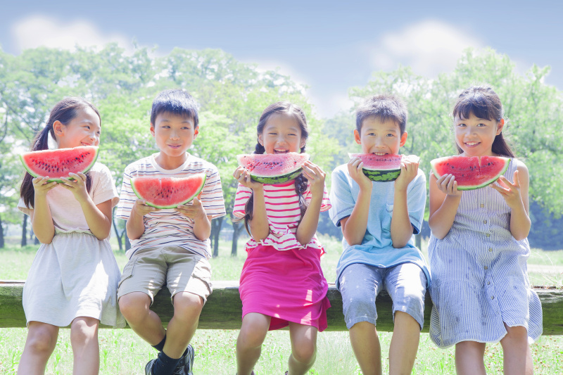 日本小学生吃西瓜图片下载