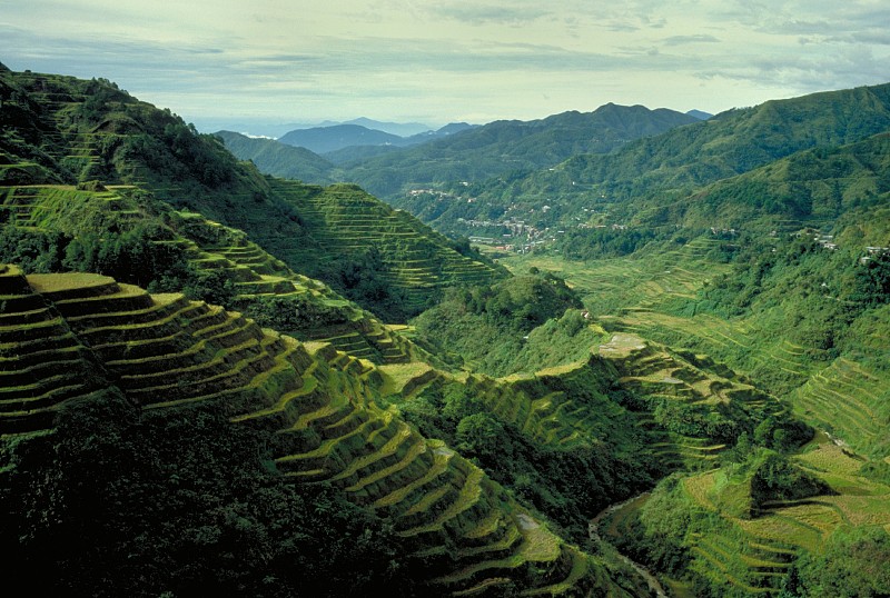 菲律宾风景如画的稻田。图片下载