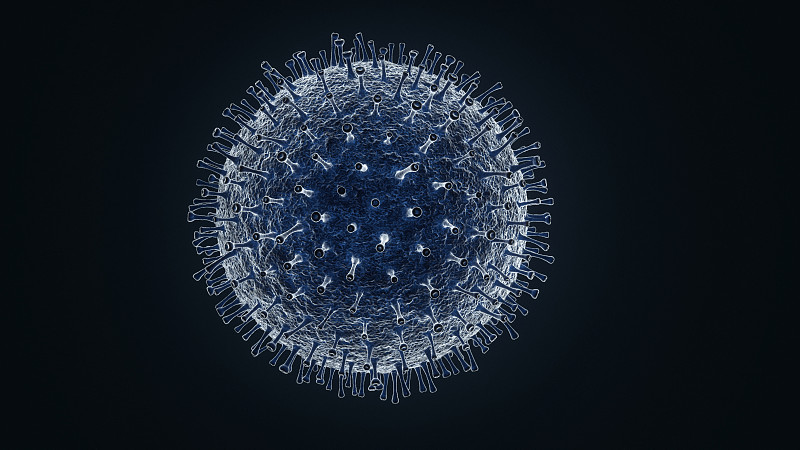 冠状病毒结构图片下载
