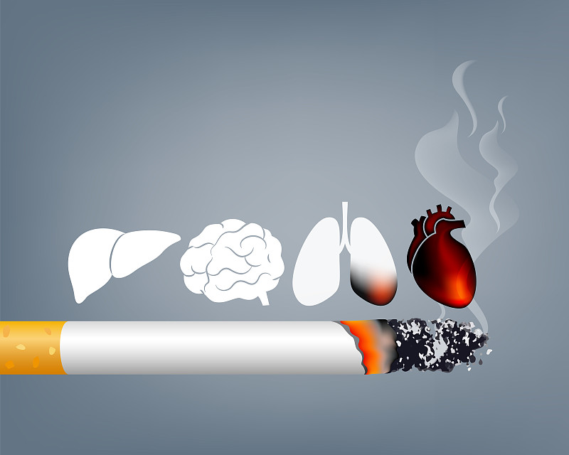 停止吸烟，世界无烟日。吸烟对人体器官有害。图片素材