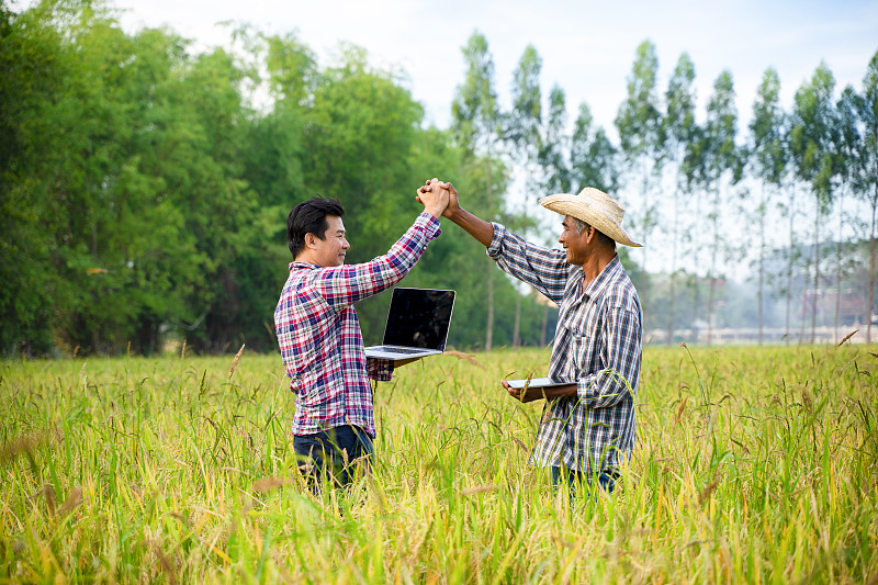 两个农民手牵着手在稻田里手里拿着笔记本电脑和笔记本。农业业务概念。图片下载