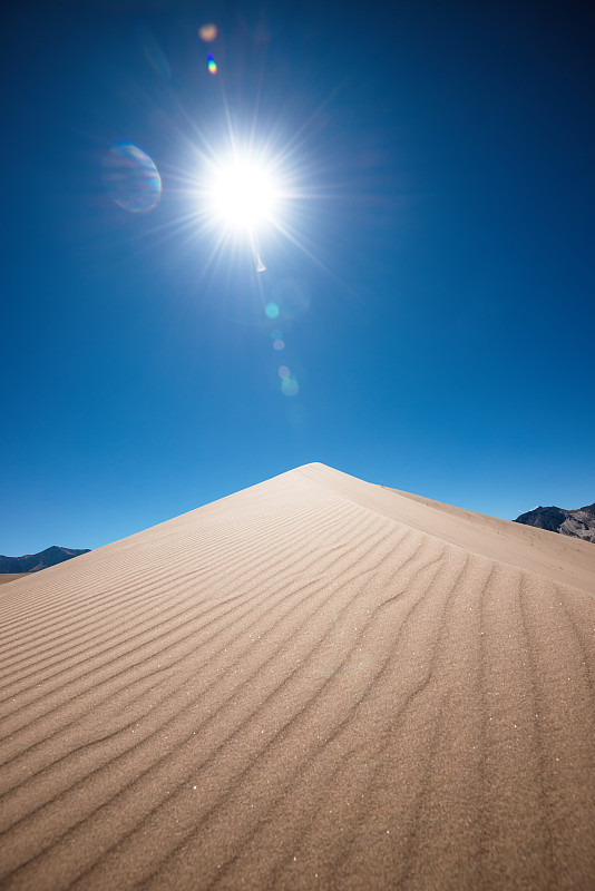 沙丘上的阳光图片素材