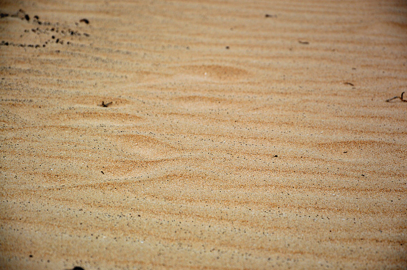 全帧拍摄的沙漠的沙子图片下载